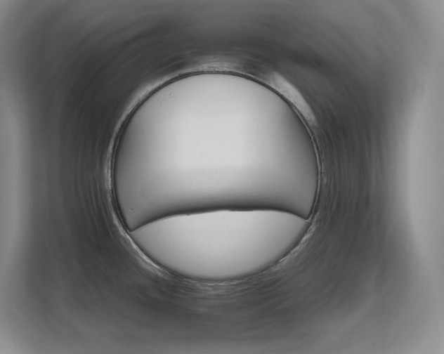 X0000111681436200907171625