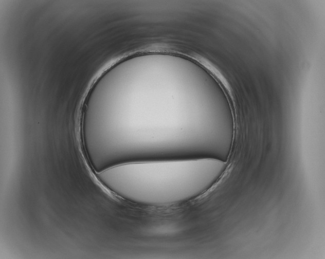 X0000111681437200907171625