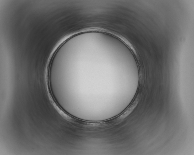 X0000111681438200907171625