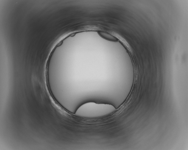 X0000111681439200907171625