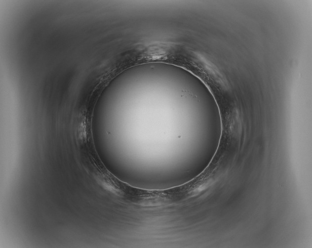 X0000111681442200907171624