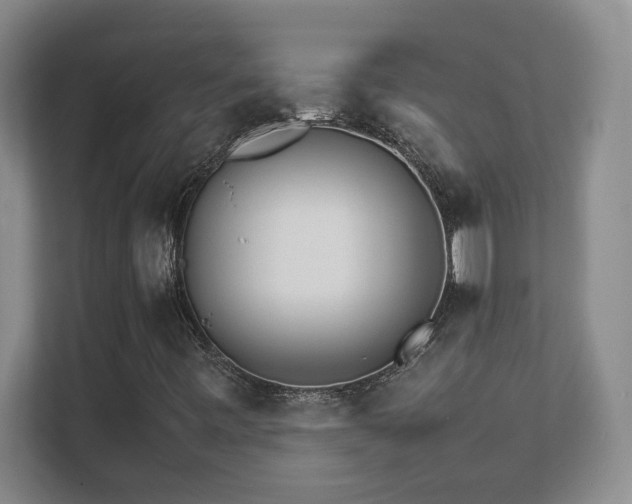 X0000111681443200907171624