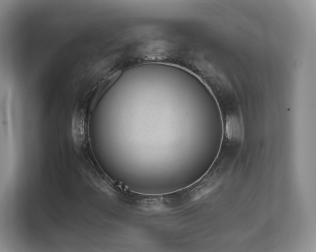 X0000111681444200907171624
