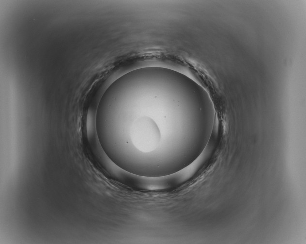 X0000111681445200907171624