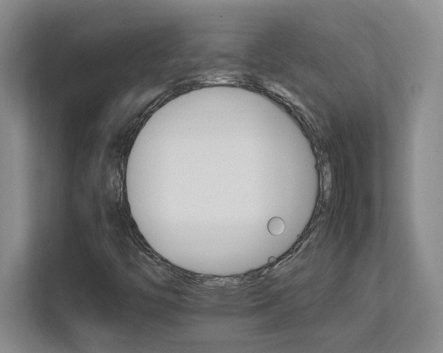 X0000111681446200907171624