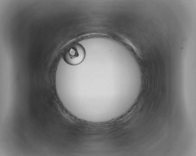 X0000111681448200907171624
