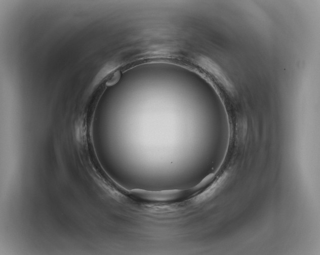 X0000111681450200907171624