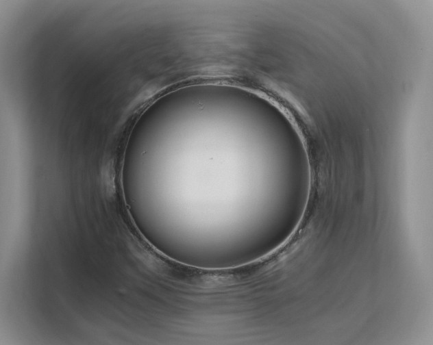 X0000111681451200907171624