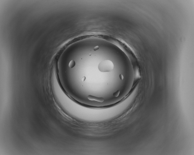 X0000111681452200907171624