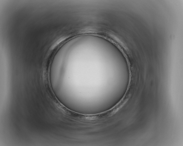 X0000111681453200907171624