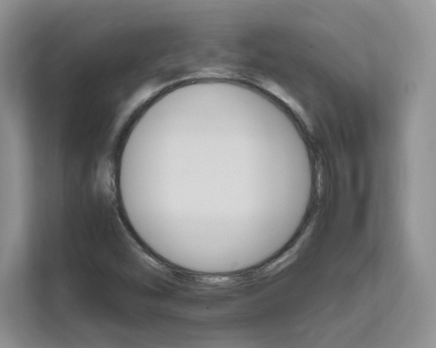X0000111681454200907171624