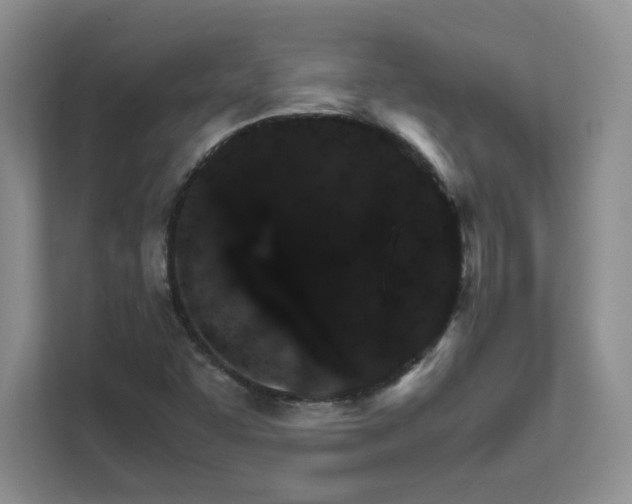 X0000111681455200907171624