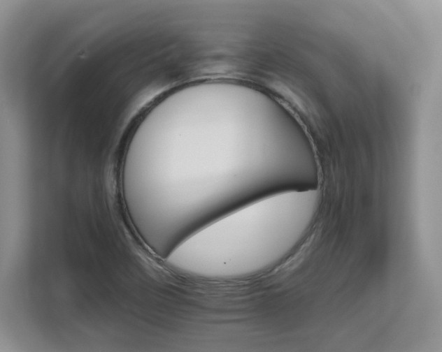 X0000111681458200907171624