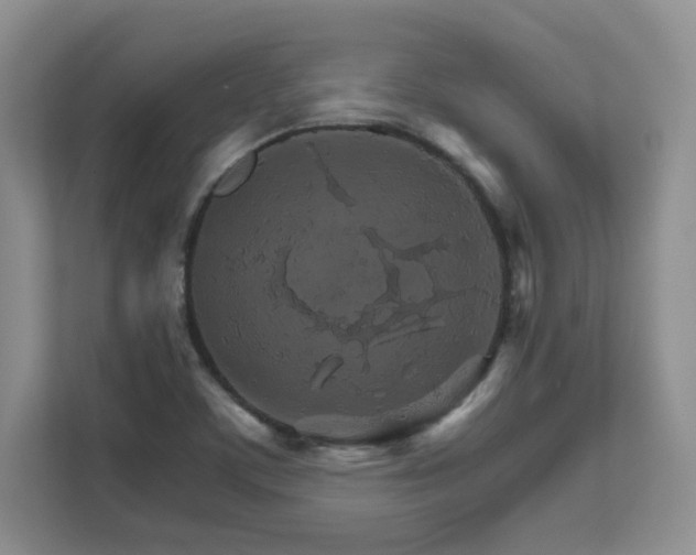 X0000111681459200907171624