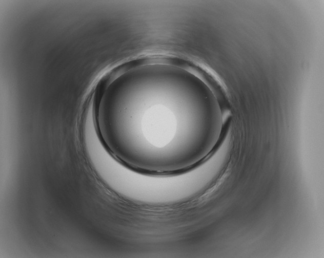 X0000111681461200907171624