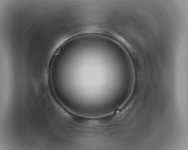 X0000111681463200907171624