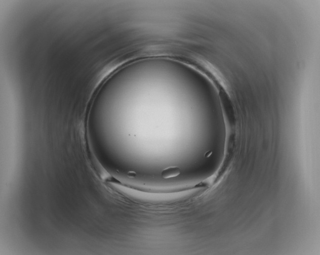 X0000111681465200907171624