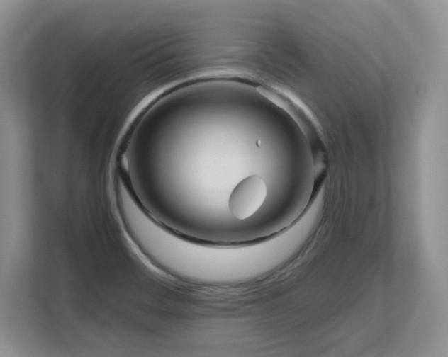 X0000111681468200907171624