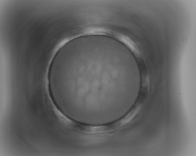 X0000111681471200907171624