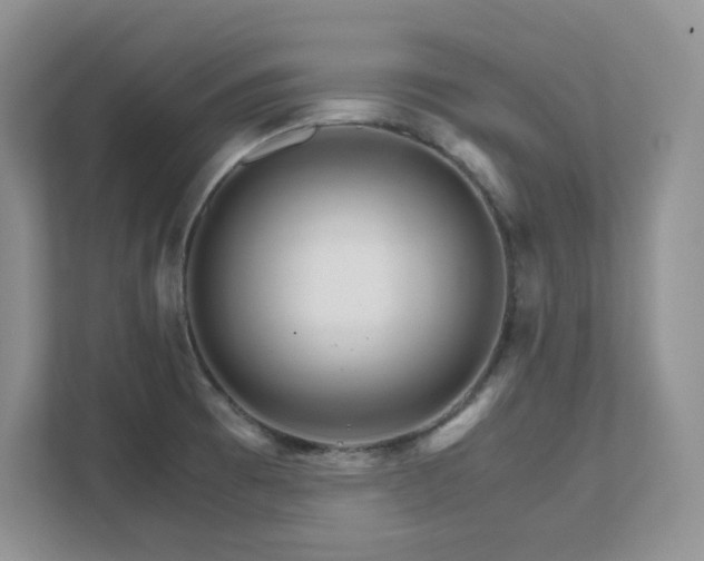 X0000111681473200907171624