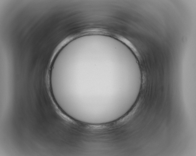 X0000111681474200907171624