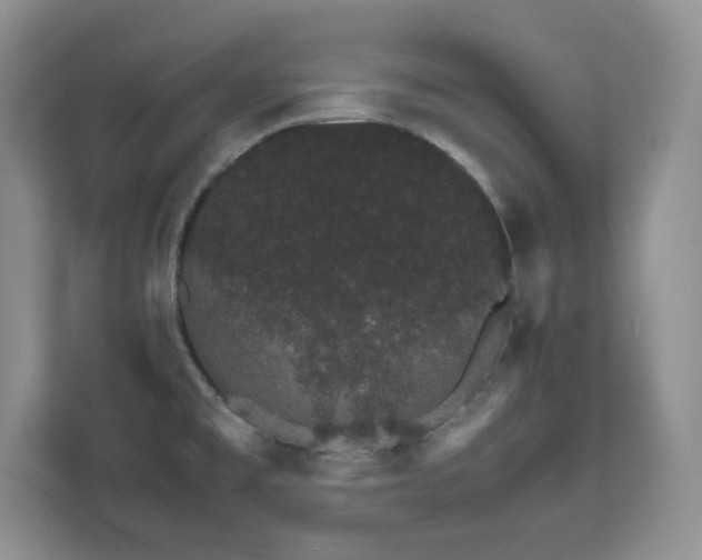 X0000111681477200907171624