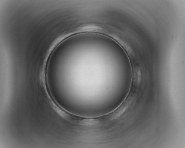 X0000111681478200907171624