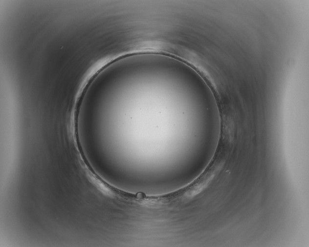 X0000111681480200907171624
