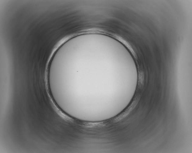 X0000111681482200907171624