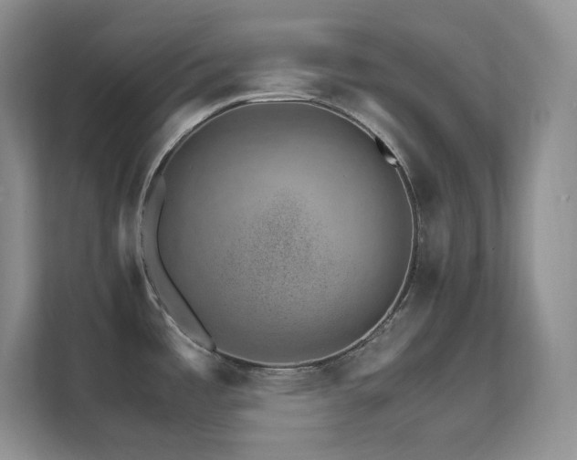 X0000111681485200907171624