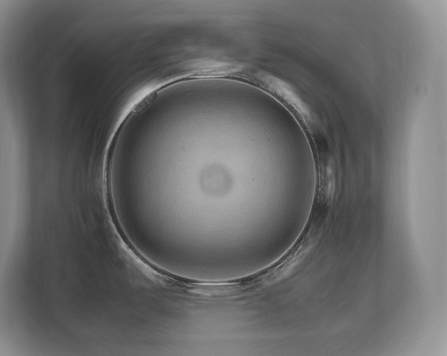 X0000111681487200907171624
