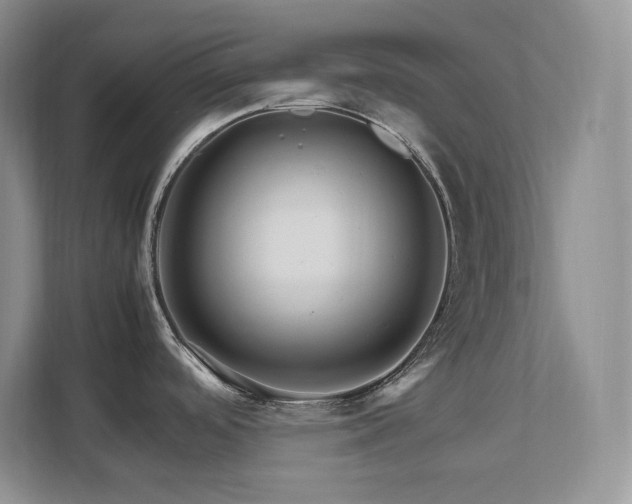 X0000111681488200907171624