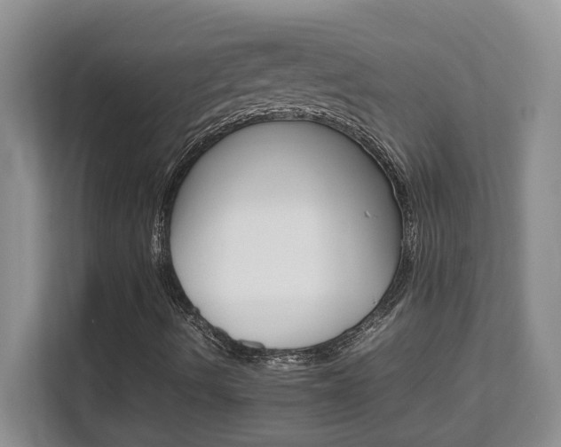 X0000111681490200907171623