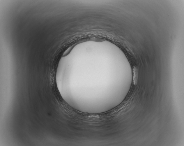 X0000111681491200907171623