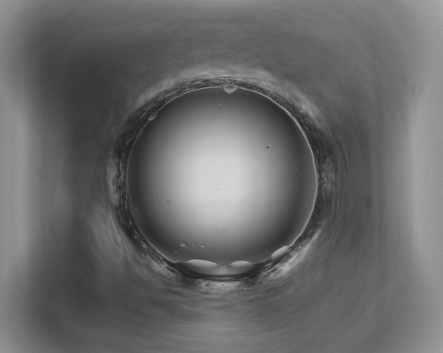 X0000111681494200907171623