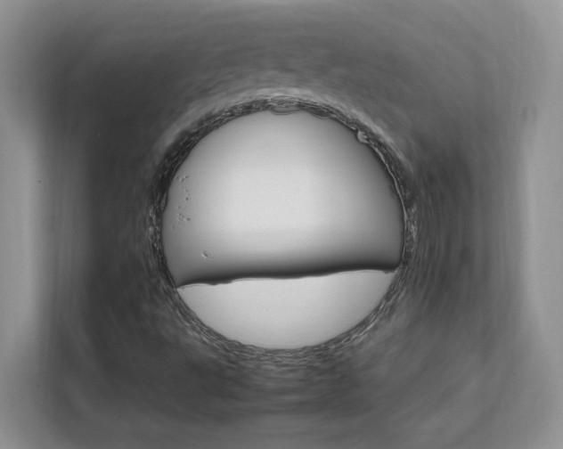 X0000111681495200907171623