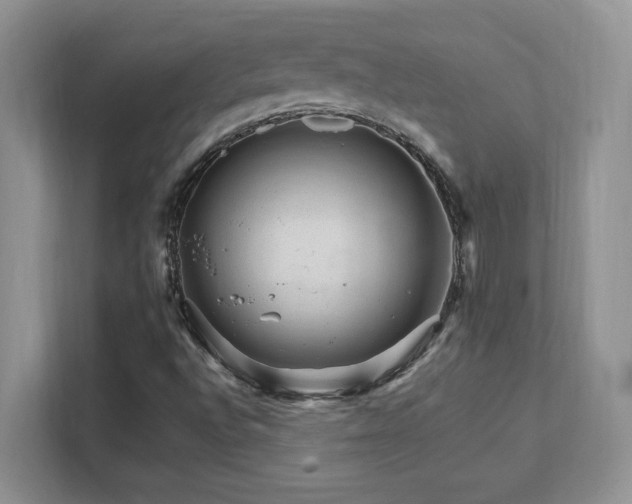 X0000111681496200907171623