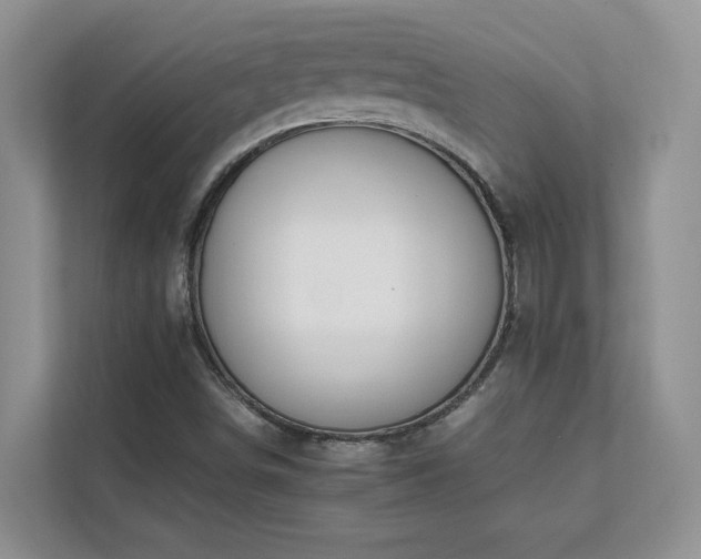 X0000111681498200907171623