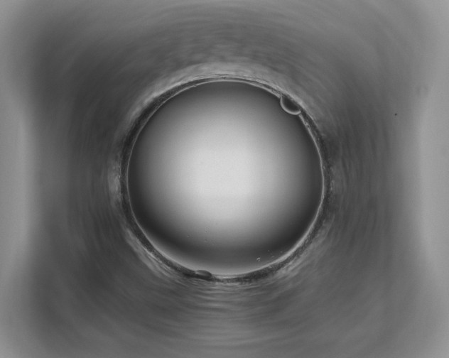 X0000111681499200907171623