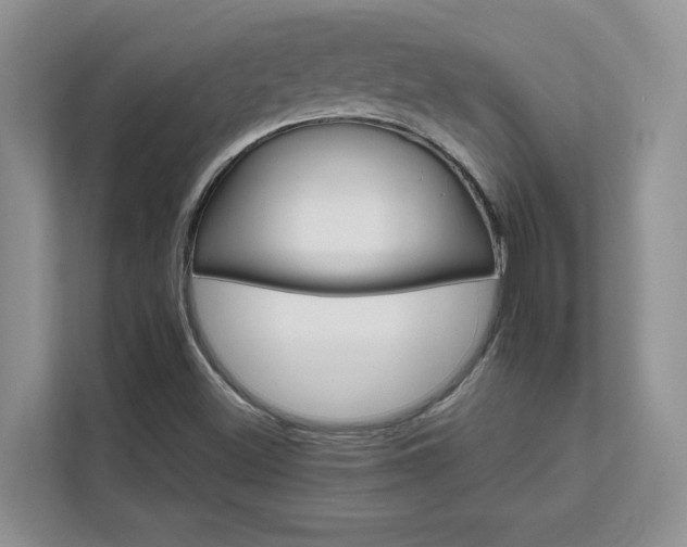 X0000111681500200907171623