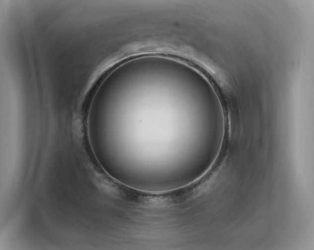 X0000111681501200907171623