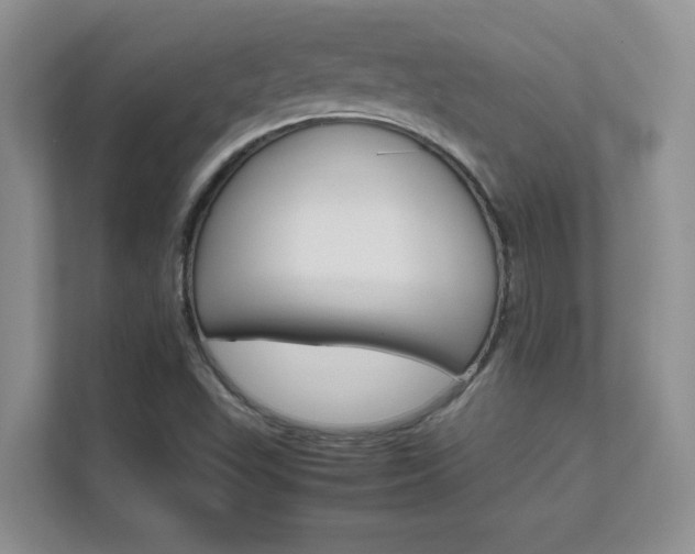 X0000111681503200907171623