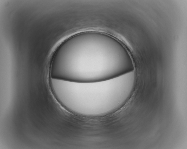 X0000111681504200907171623
