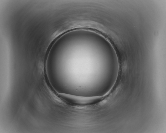 X0000111681505200907171623