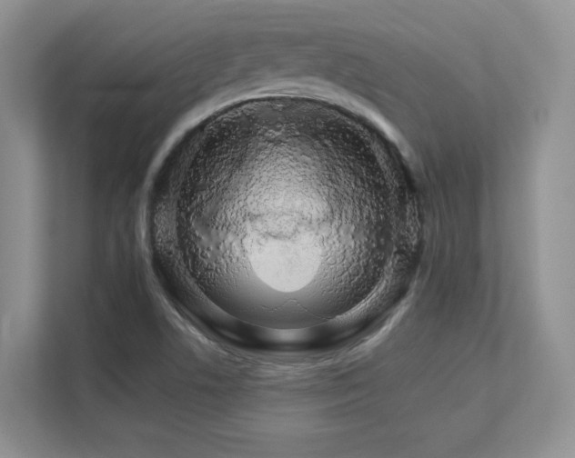 X0000111681506200907171623