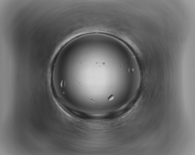 X0000111681508200907171623