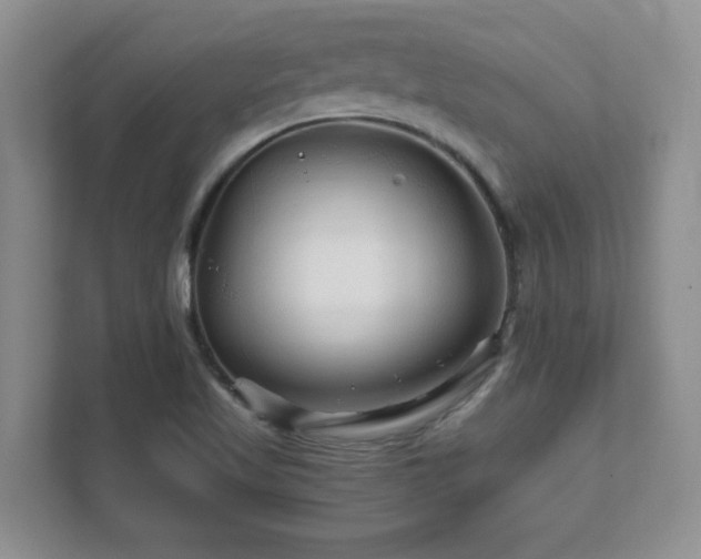 X0000111681509200907171623