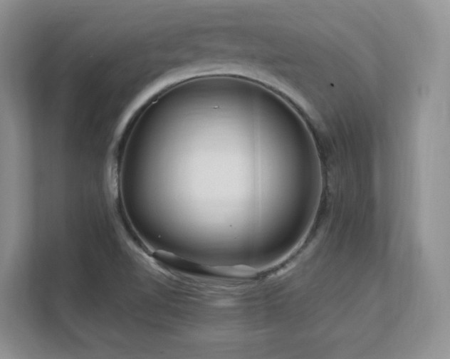 X0000111681510200907171623