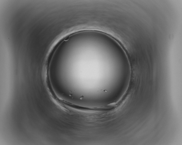 X0000111681511200907171623