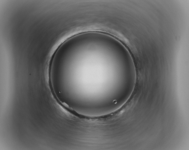 X0000111681512200907171623